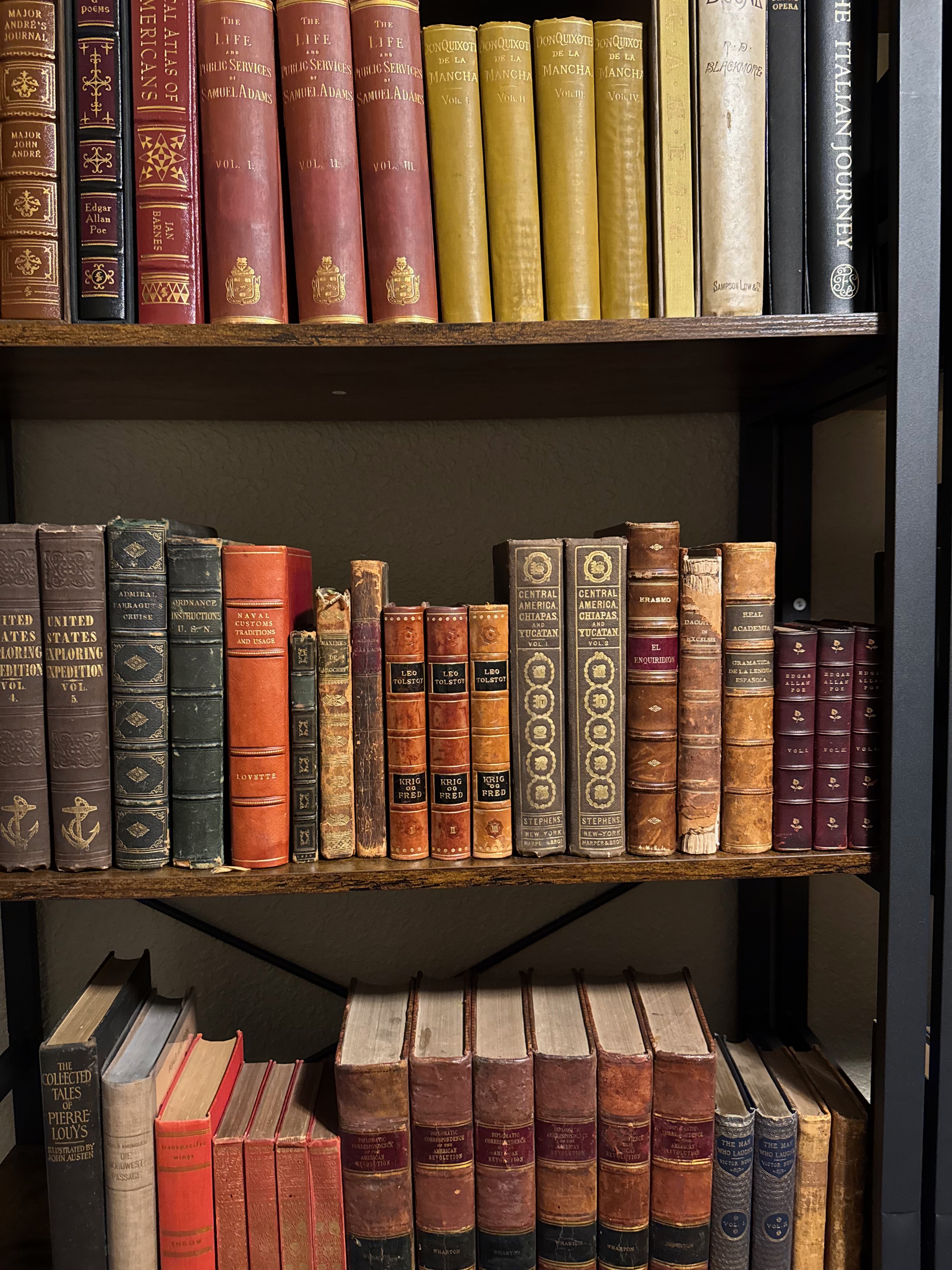 Rare antiquarian books on dark shelves